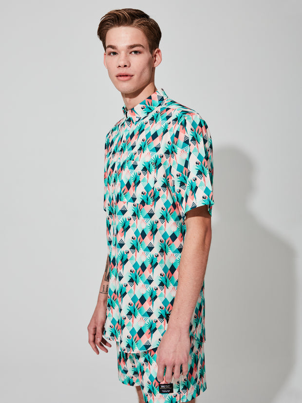 ODEN TROPICAL ABSTRACT AOP